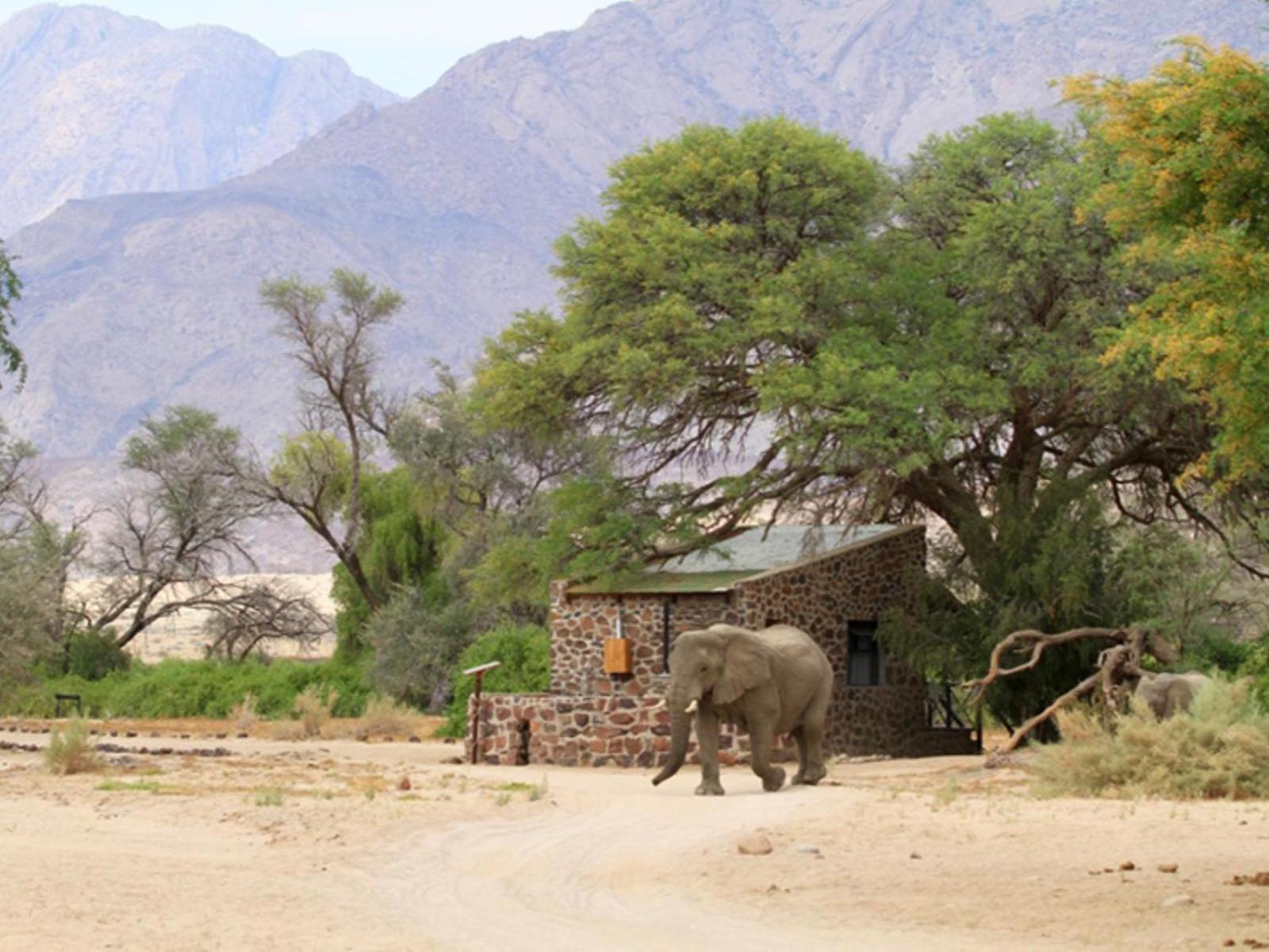 Brandberg White Lady Lodge Uis ภายนอก รูปภาพ