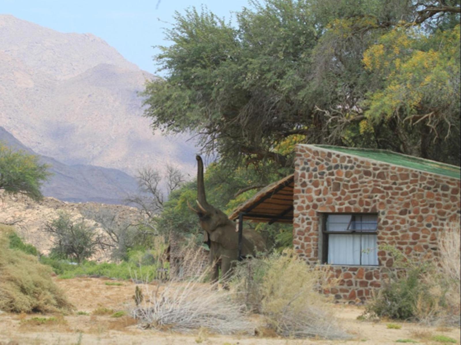 Brandberg White Lady Lodge Uis ภายนอก รูปภาพ