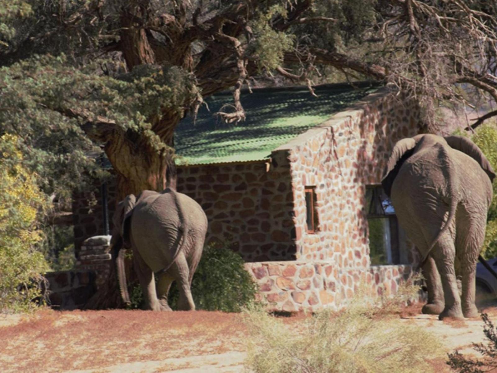 Brandberg White Lady Lodge Uis ภายนอก รูปภาพ