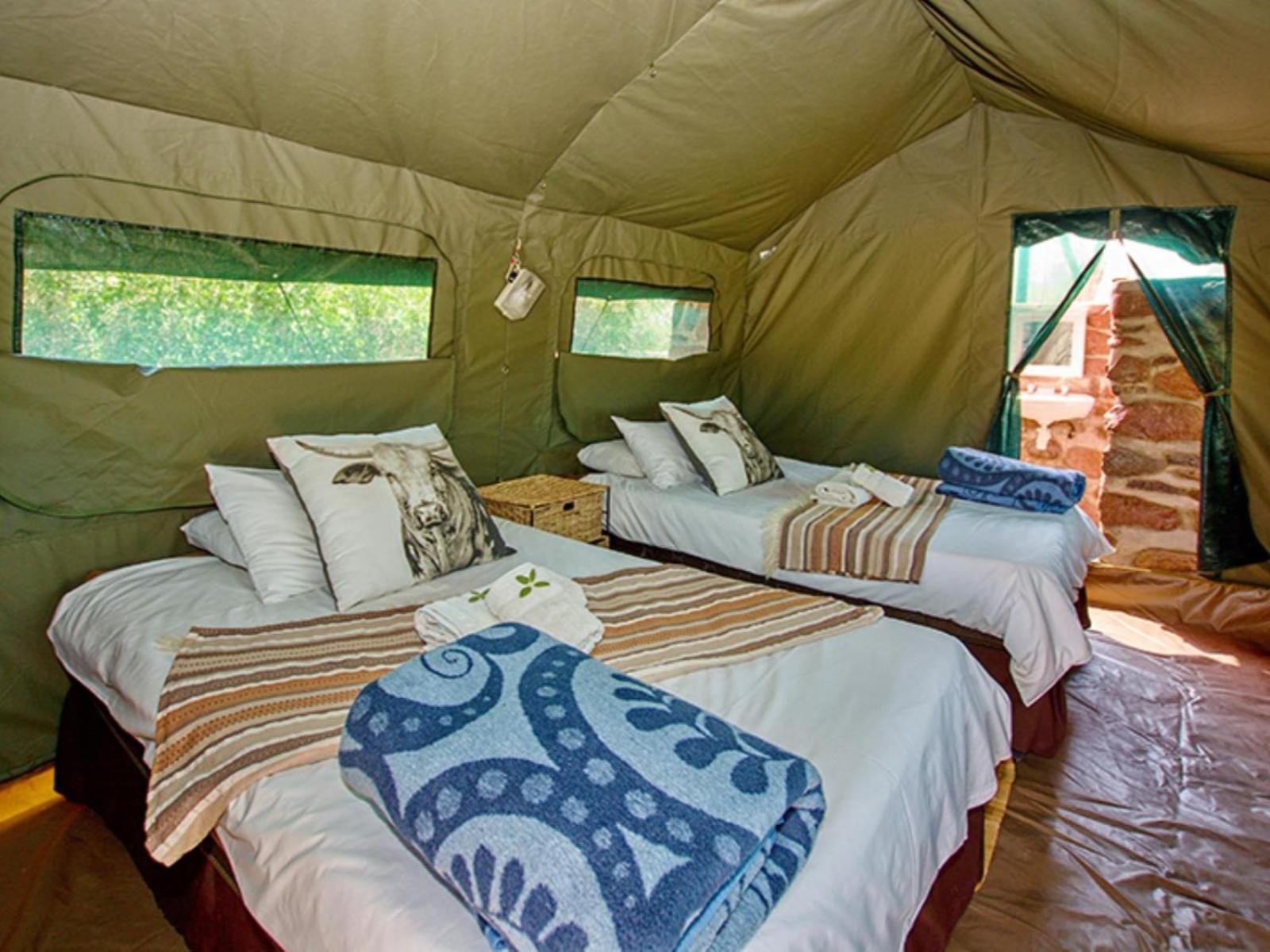 Brandberg White Lady Lodge Uis ภายนอก รูปภาพ
