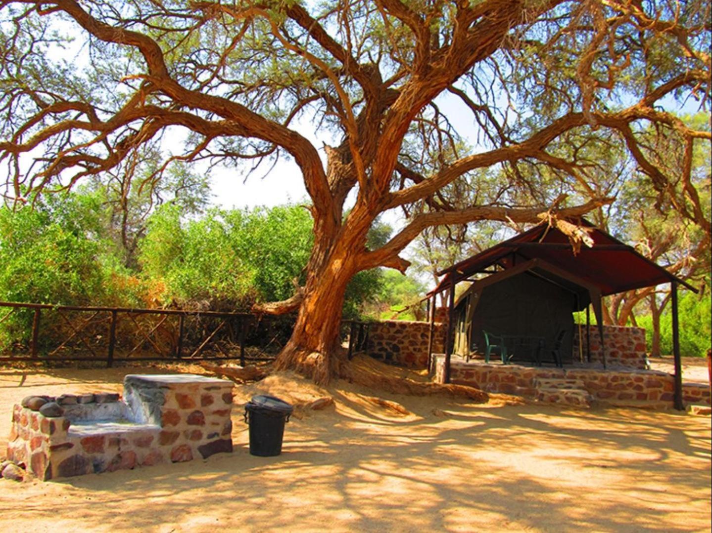 Brandberg White Lady Lodge Uis ภายนอก รูปภาพ