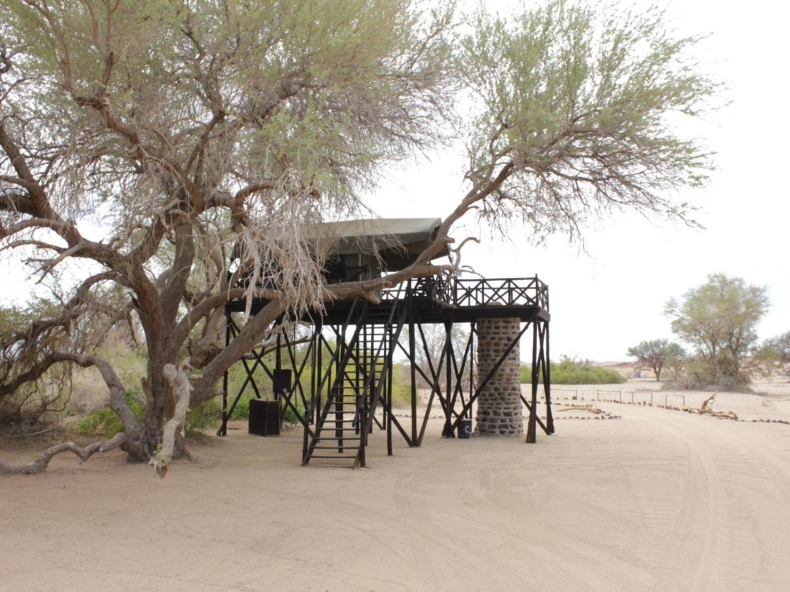 Brandberg White Lady Lodge Uis ภายนอก รูปภาพ